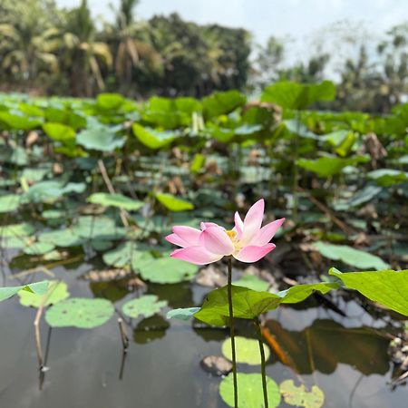 Huong Tram Homestay Ho Da Экстерьер фото