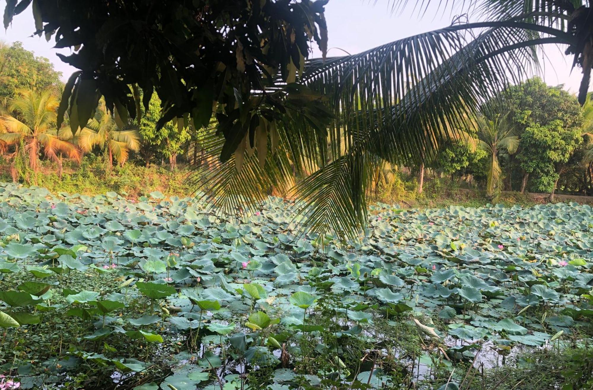 Huong Tram Homestay Ho Da Экстерьер фото